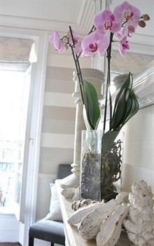 Kings Boutique Hotel Londra Esterno foto